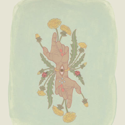 "Looking Past" by Nara Allsop